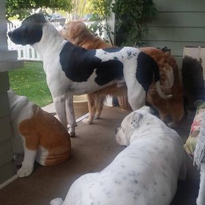 Meet your Posher, Leslie